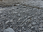 FZ012649 Pebbles on the beach.jpg